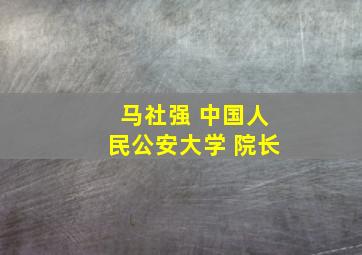 马社强 中国人民公安大学 院长